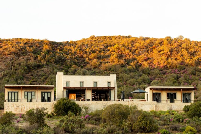Luxury-Bush-Lodge-11.jpg