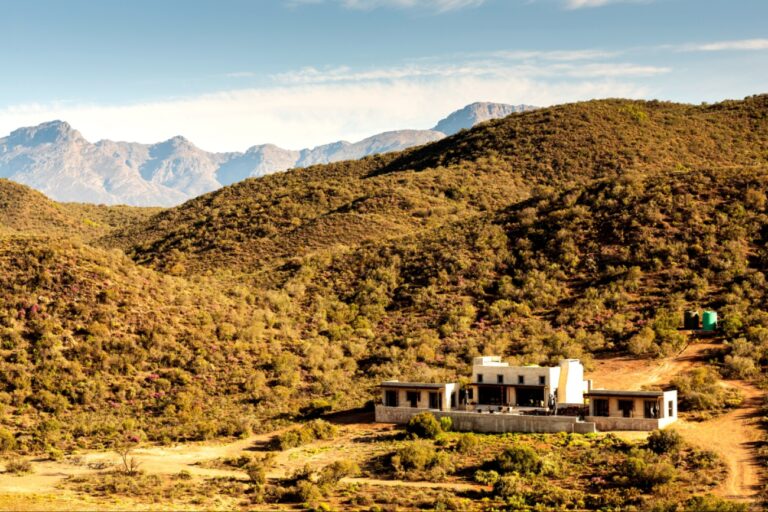 Luxury-Bush-Lodge-13.jpg